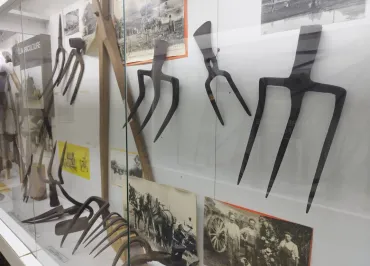 Musée des Arts et Traditions populaires