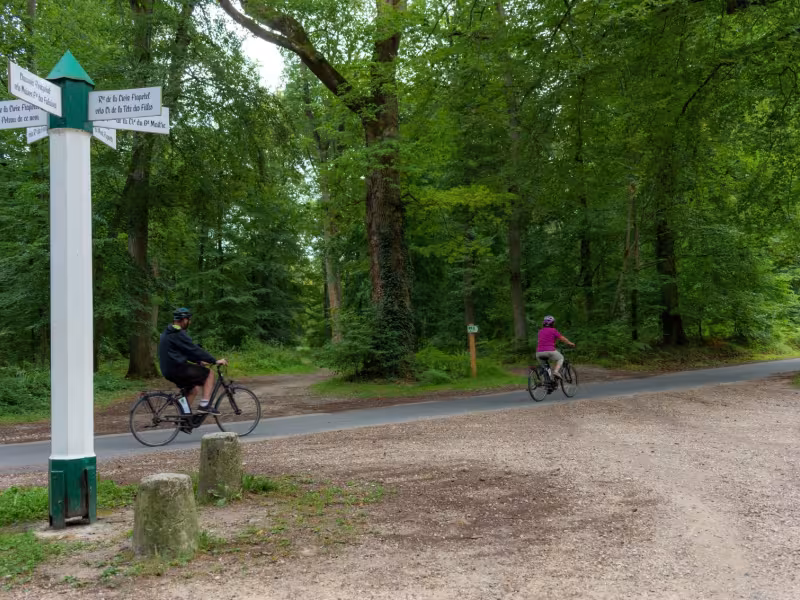À vélo dans la forêt Halatte