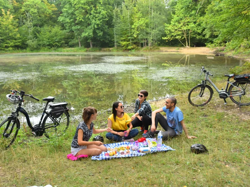 Pique-nique à l'étang du Corac à Saint-Germain-en-Laye