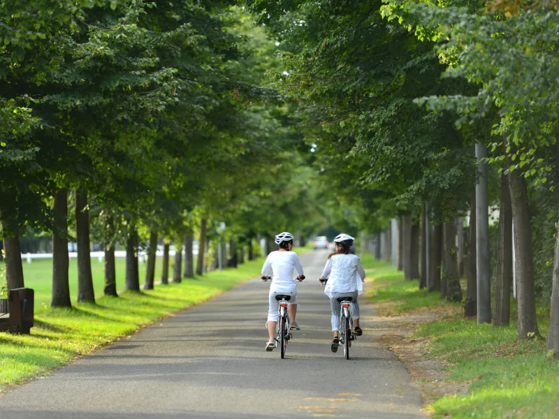Dans les sous-bois à vélo vers Maisons-Laffitte