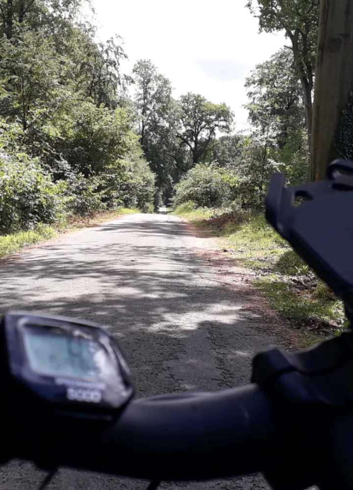 Témoignage Hélène La forêt du Halatte