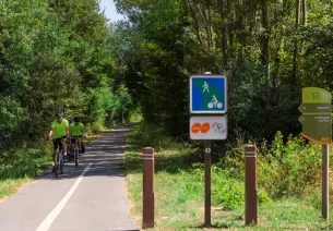 The route and road surfaces